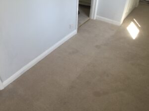 Carpet patch & replace after