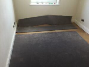 Carpet replacement progress